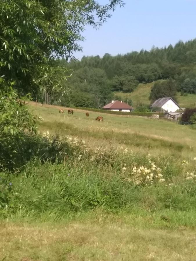 Altana Caloroczna Vira Numer 7 Herbergerowka Agroturystyka Na Wsi Duszniki Zdrój Kültér fotó