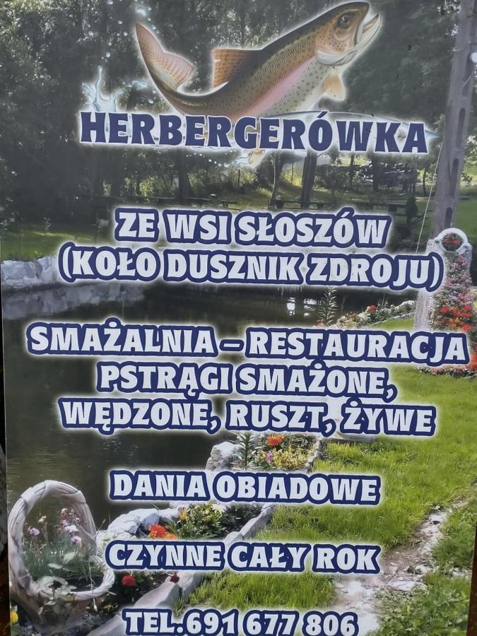 Altana Caloroczna Vira Numer 7 Herbergerowka Agroturystyka Na Wsi Duszniki Zdrój Kültér fotó